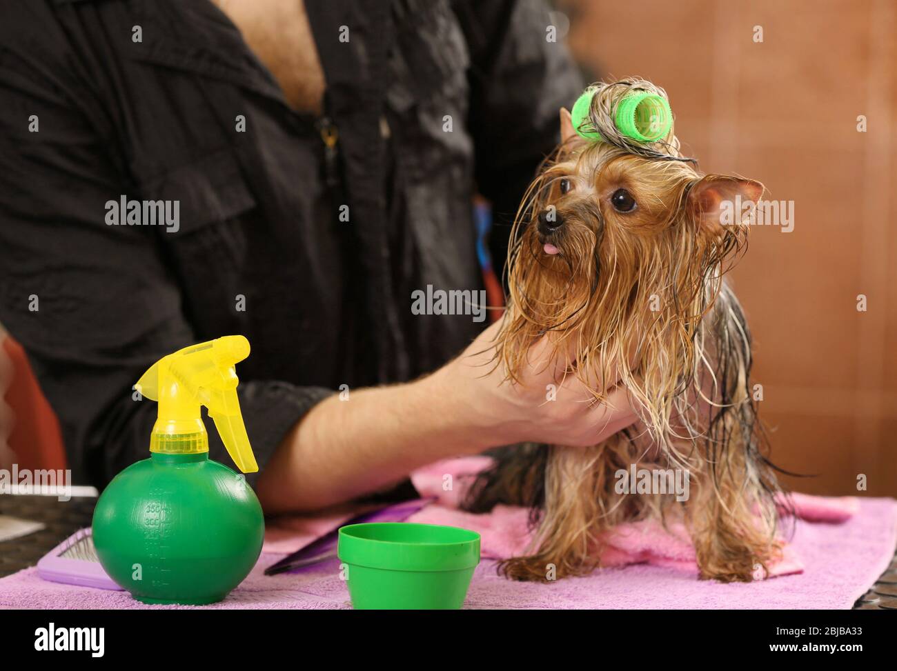 Page 2 Hair Rollers Salon Woman High Resolution Stock Photography And Images Alamy