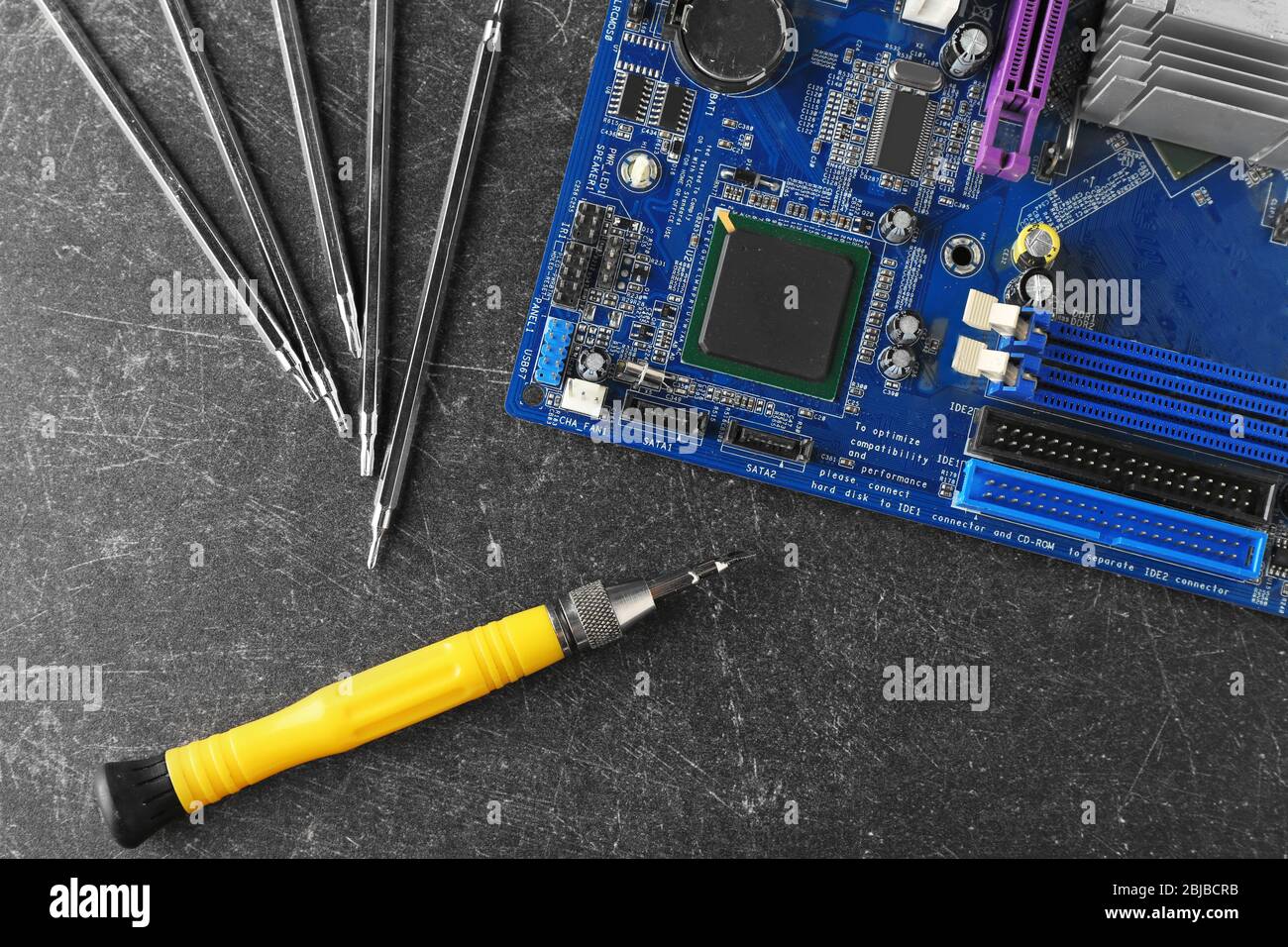 Motherboard, screwdriver and exchangeable bits on grey background Stock Photo