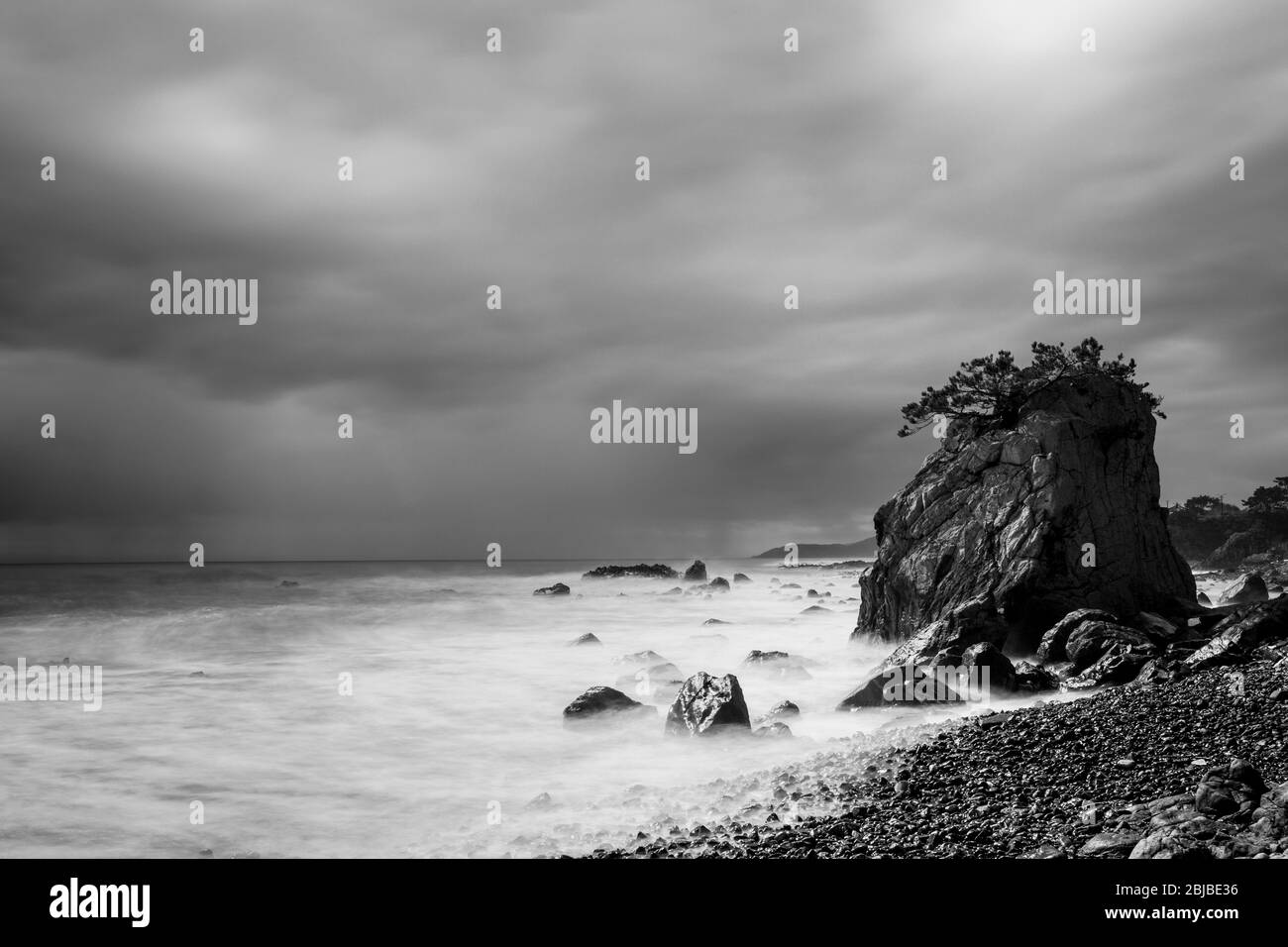 Beautiful trees on sky Black and White Stock Photos & Images - Alamy