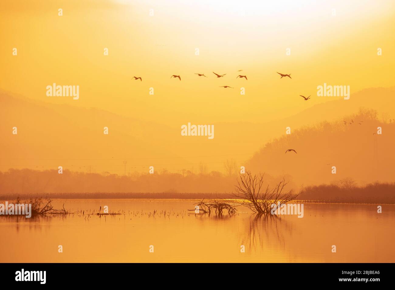 beautiful morning sky on the lake with flying birds, Dongpanji lake, Changwon-si, Korea Stock Photo