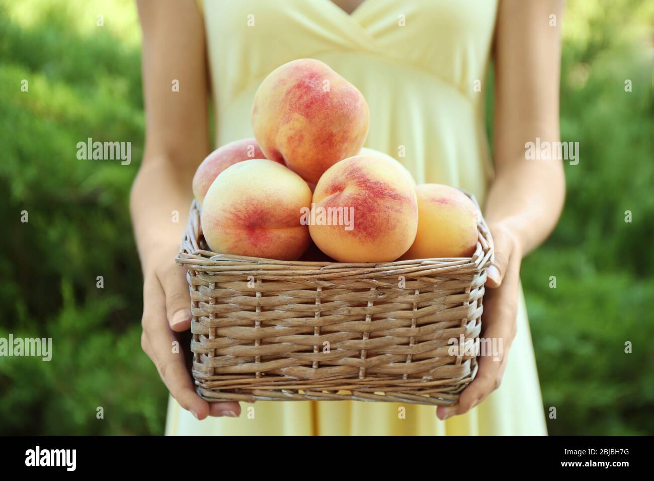 Hands holding wicker basket hi-res stock photography and images - Alamy