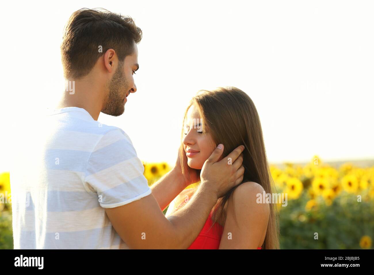 Romantic young couple embracing in a field of sunflowers Stock Photo ...