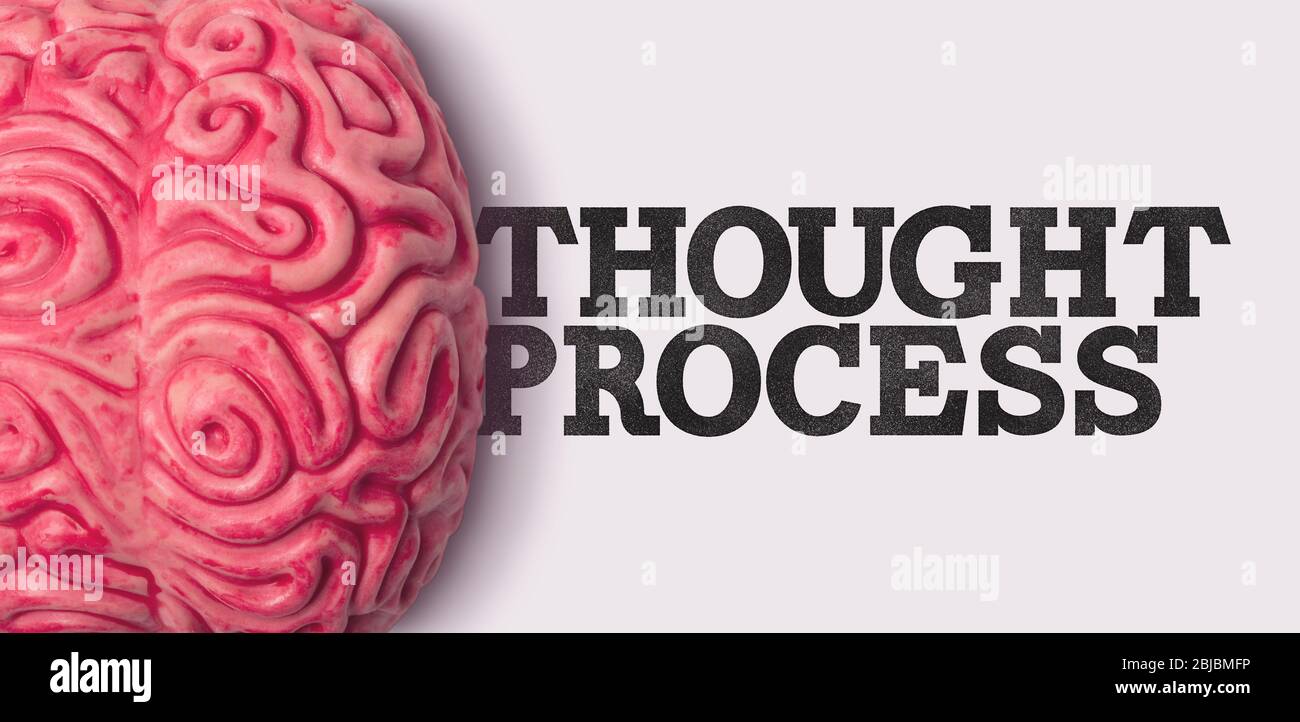 Thought Process word next to a human brain model Stock Photo