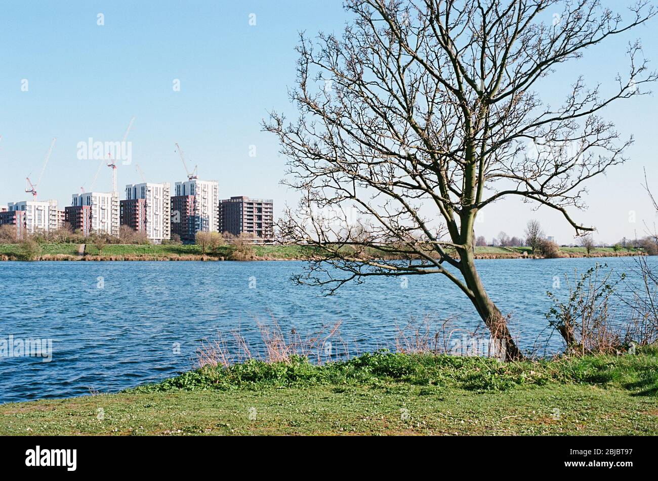 Walthamstow reservoir hires stock photography and images Alamy
