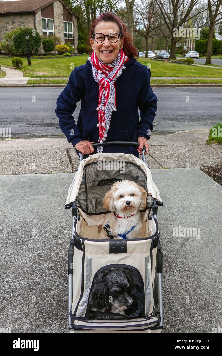 baby pushing dog in stroller