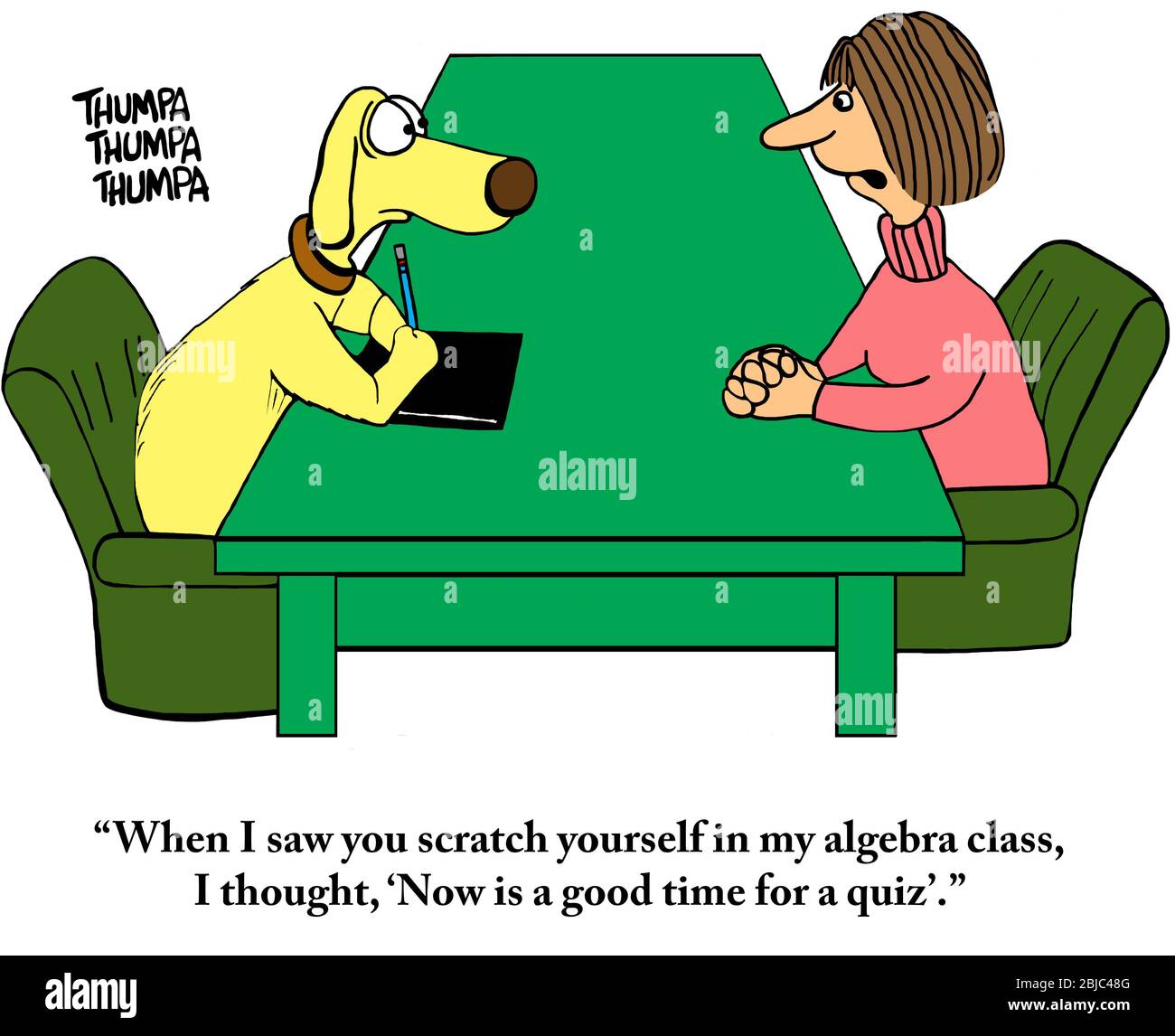 Algebra teacher tells worries student who is a dog that she is about to give him a quiz. Stock Photo
