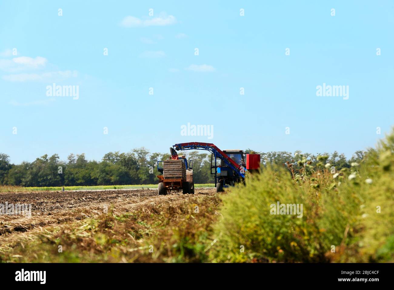 Carrots harvest field tractor hires stock photography and images Alamy