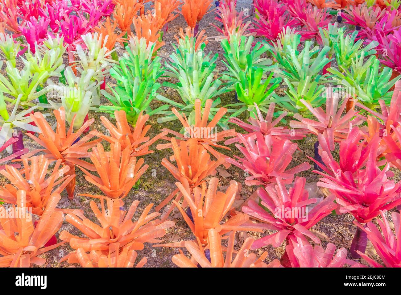 Recycled colorful plastic flowers made from plastic bottles to decorate