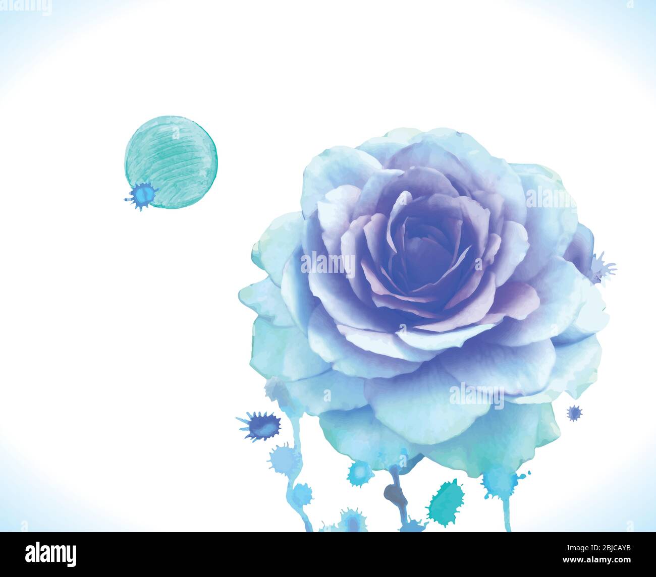 Watercolor vector blue rose. Illustration of blue rose flower Stock ...