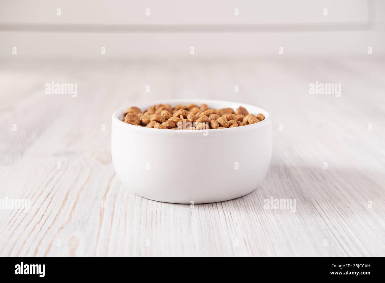 White, porcelain bowl with dry pet food is on the floor, on a blurred background. Copy space. Stock Photo