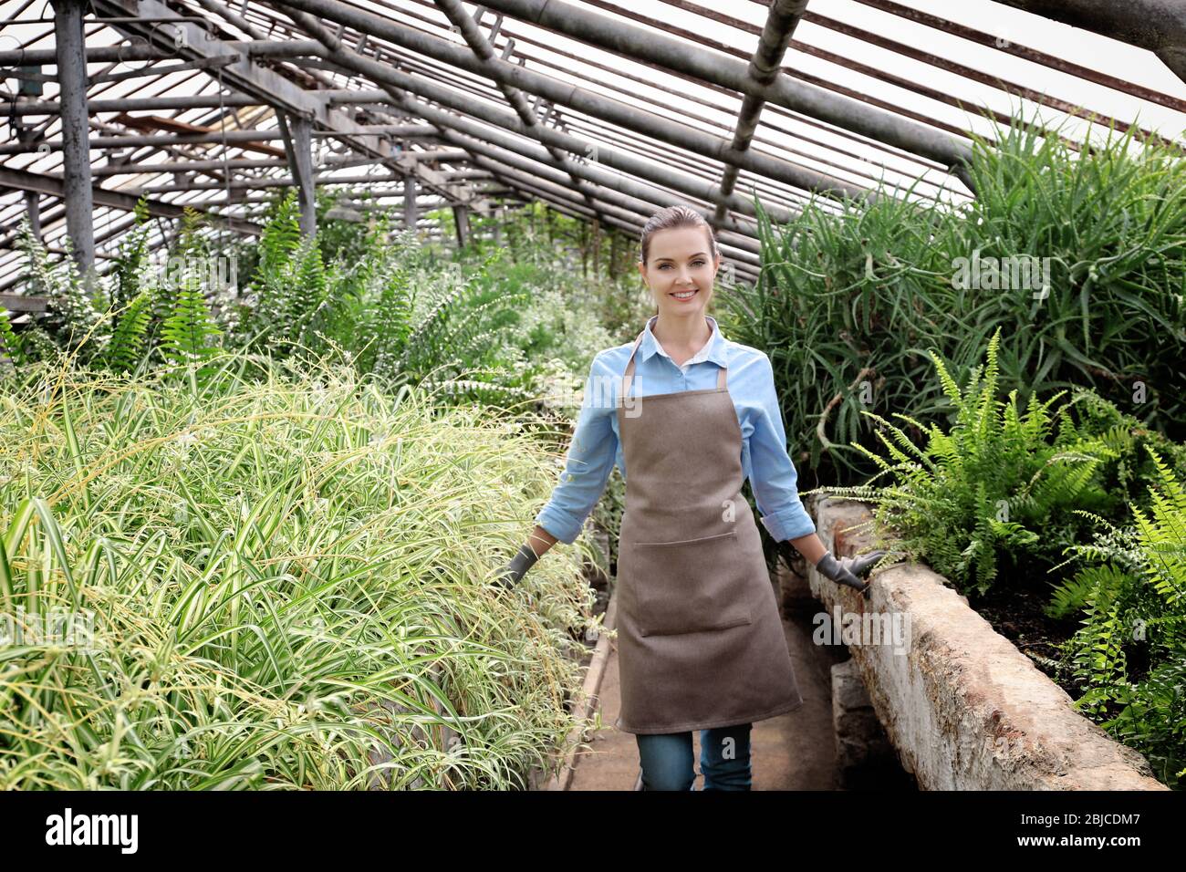 Pretty young gardener in greenhouse Stock Photo - Alamy