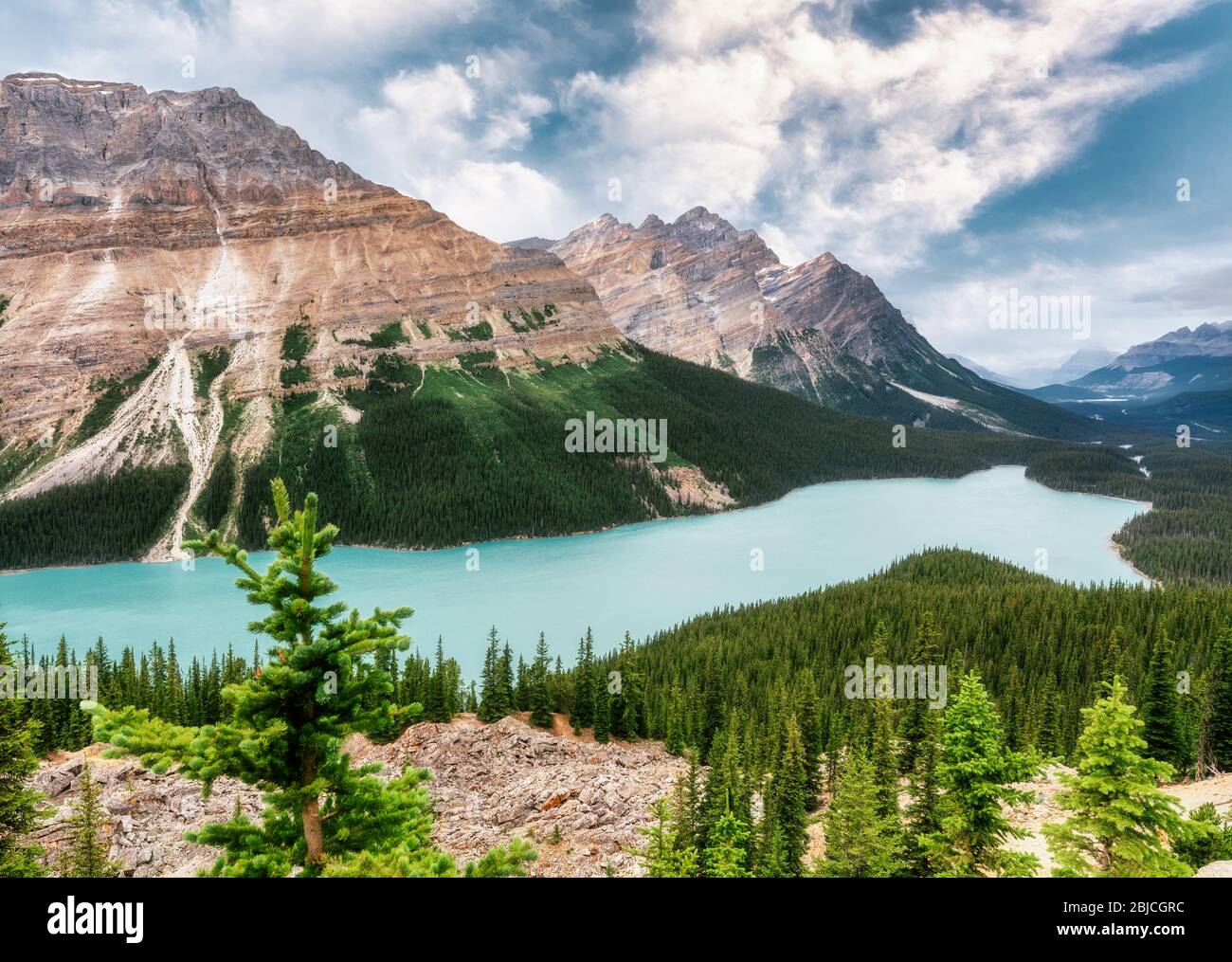 Peyto Lake in the Canadian Rockies, Alberta, Canada Stock Photo