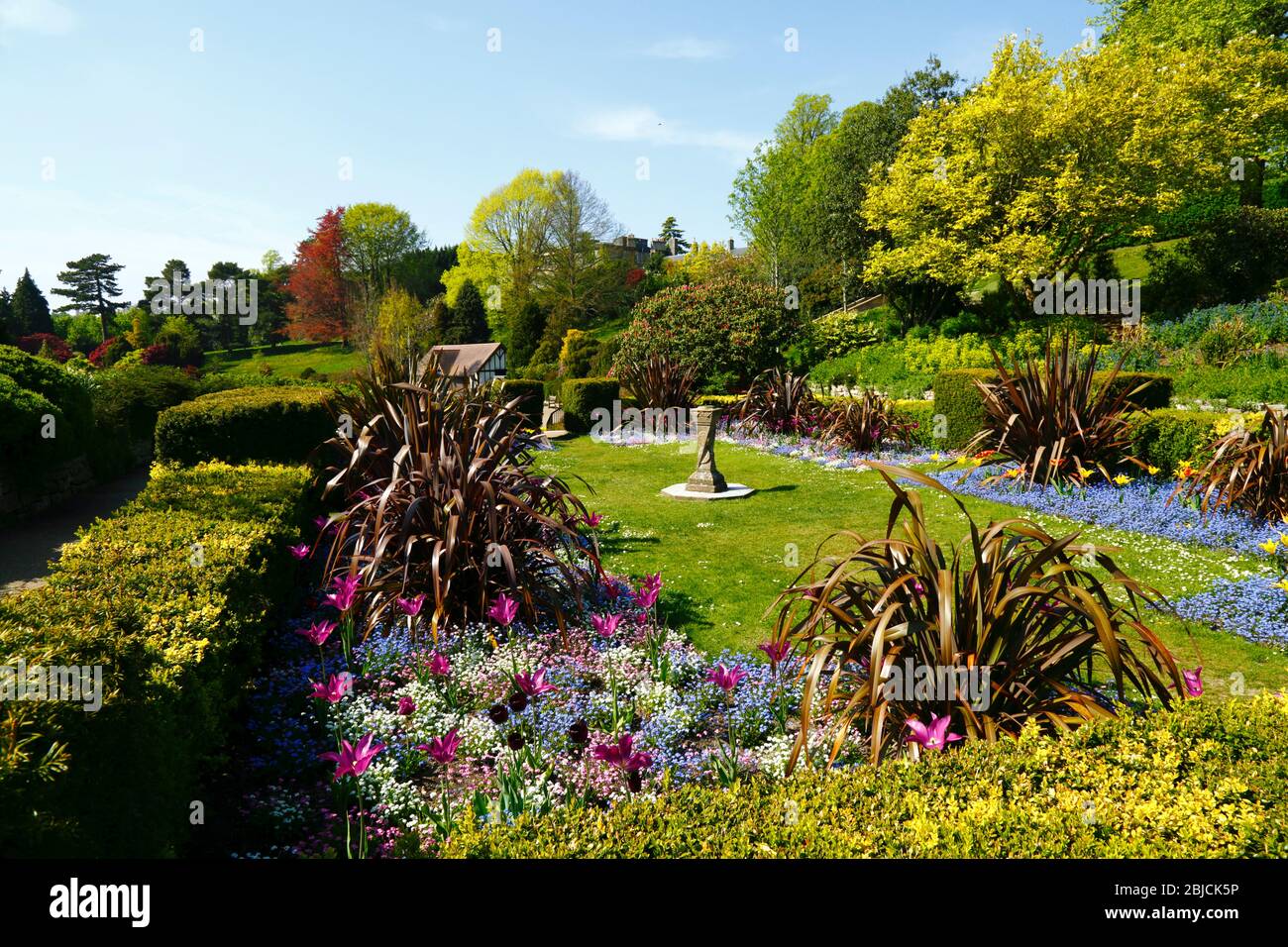 Flower bed and lawn in sunken garden in Calverley Grounds, Royal Tunbridge Wells, Kent, England