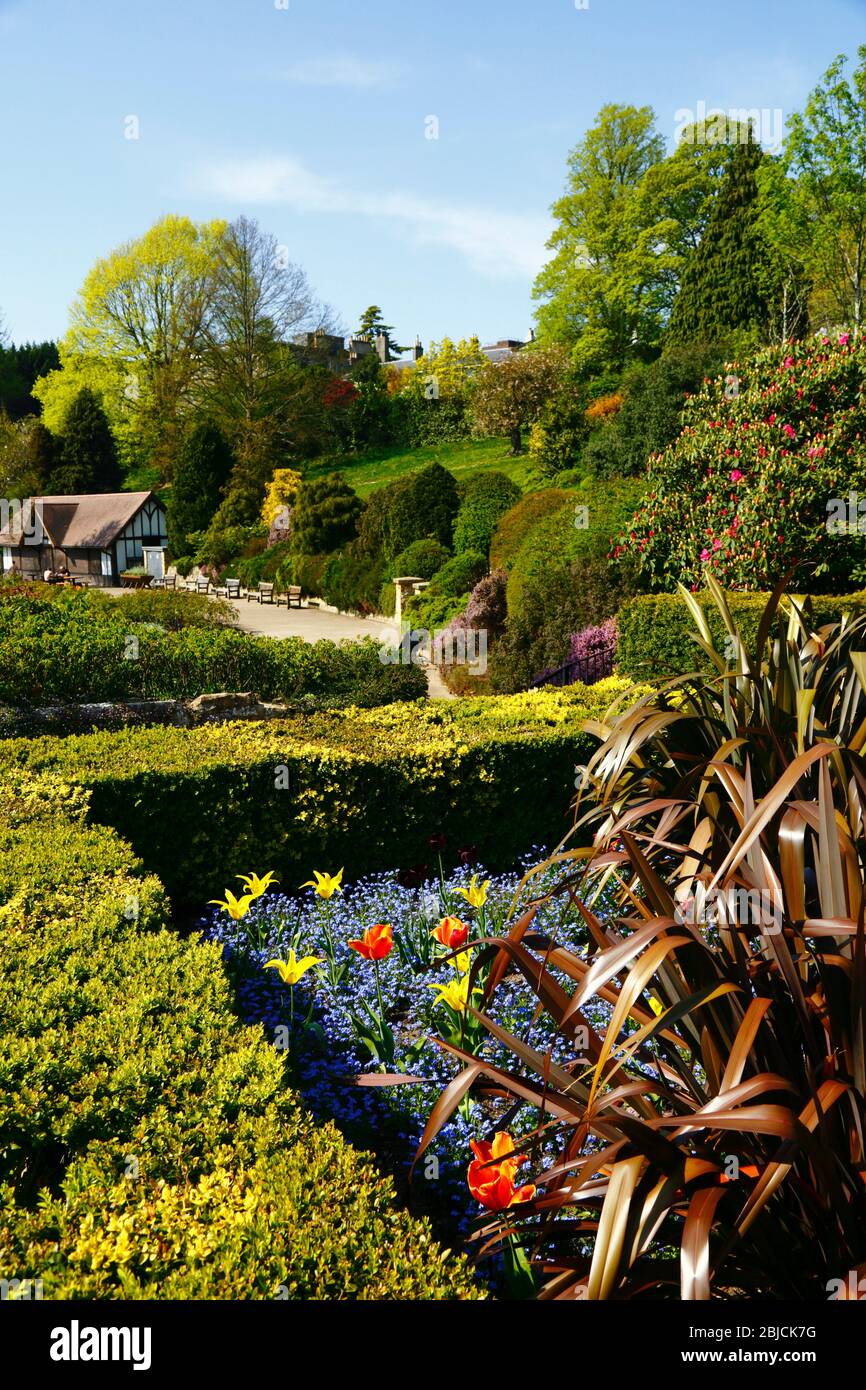 Flower bed in sunken garden in Calverley Grounds, Royal Tunbridge Wells