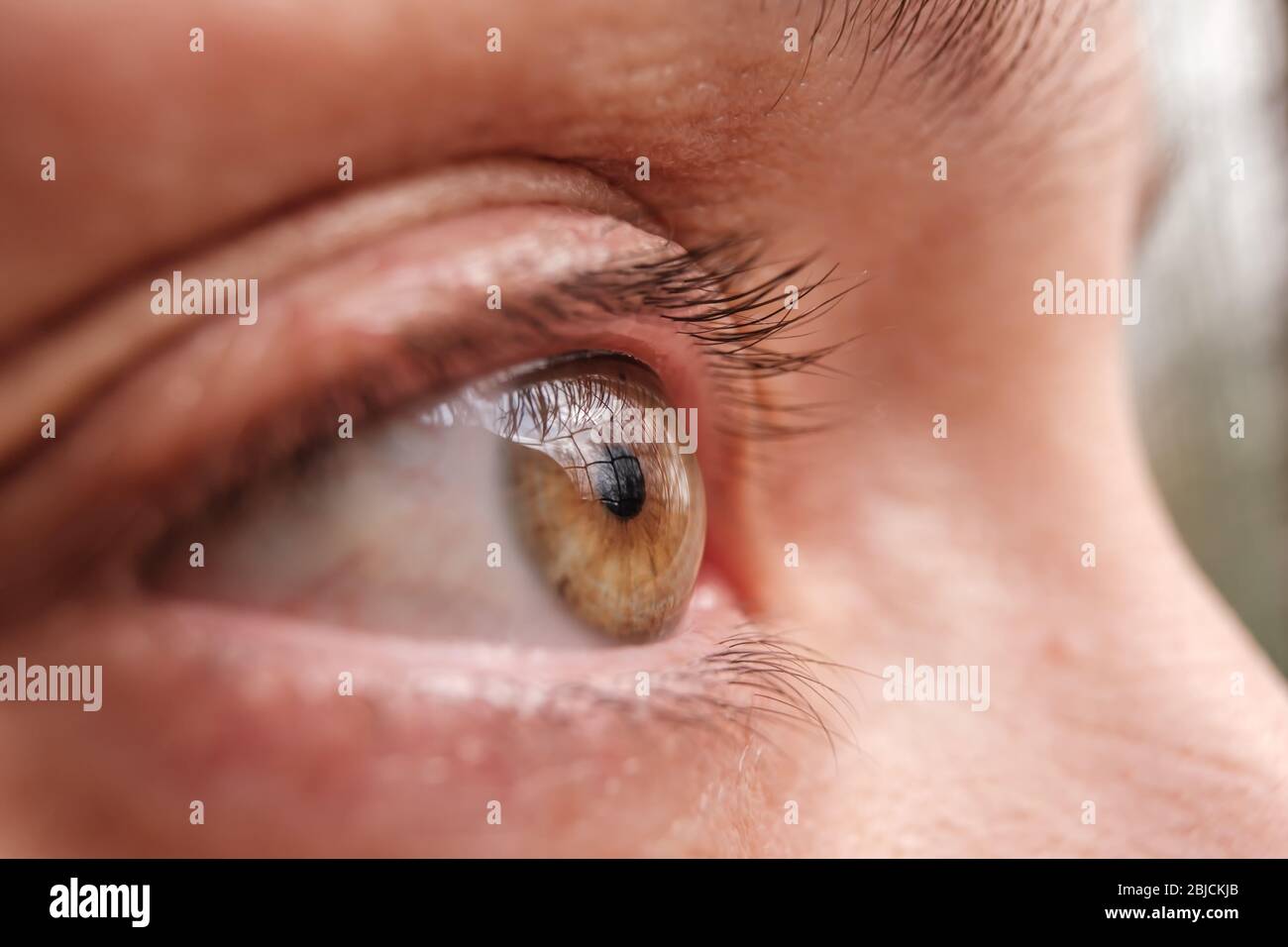 Daylight and vision hires stock photography and images Alamy