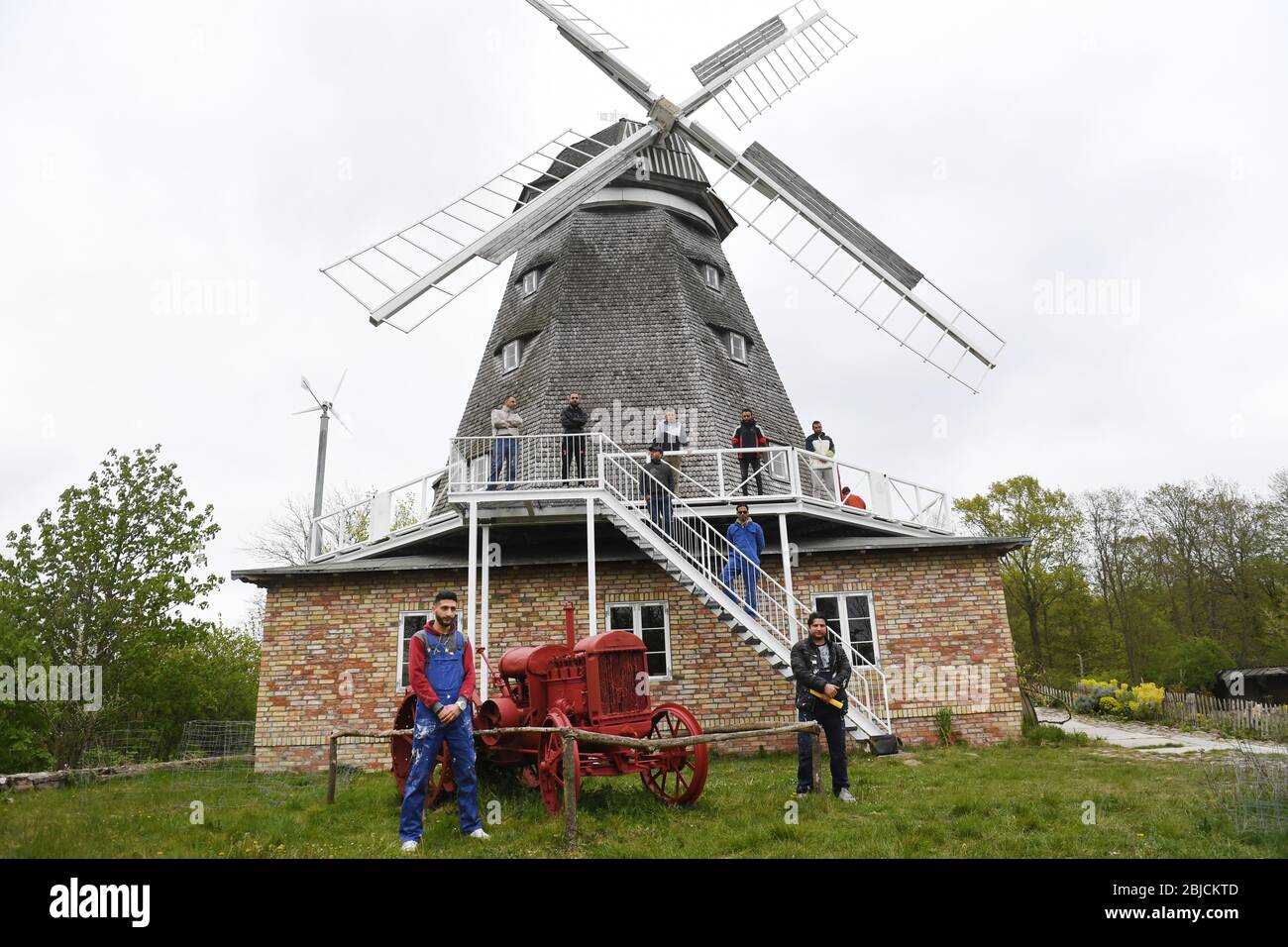 Stralsund, Germany. 29th Apr, 2020. Syrian immigrants have restored the last historic windmill in Stralsund, the Mahnkesche Mill, to its former glory. The dilapidated earth dutch mill from the second half of the 18th century was demolished in 2006 at its original location near the Rügenbrücke bridge and later rebuilt true to the original in the Stralsund Zoo. After nine years as an exhibition space, various beautification works were now due. A total of ten Syrians helped with the implementation for four weeks. Credit: Stefan Sauer/dpa/Alamy Live News Stock Photo