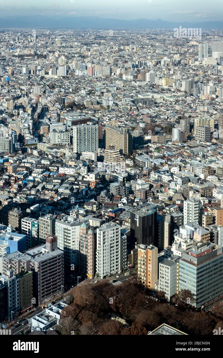 Cityscape of Tokyo and skylines. Taken from Tokyo metropolitan government building. Japan travel landmark. Stock Photo
