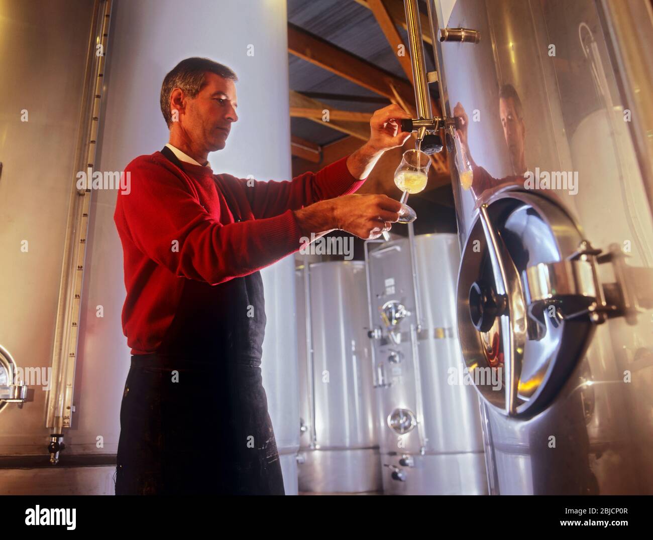 French winemaker tasting cellar master draws white chardonnay wine from hi-tech maturation tank Louis Latour Château de Grancey winery Burgundy France Stock Photo