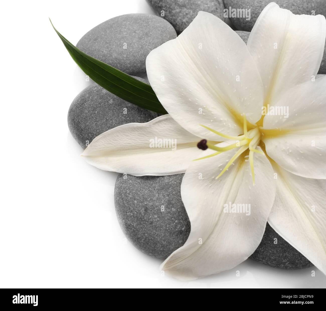 Spa concept white lily hi-res stock photography and images - Alamy