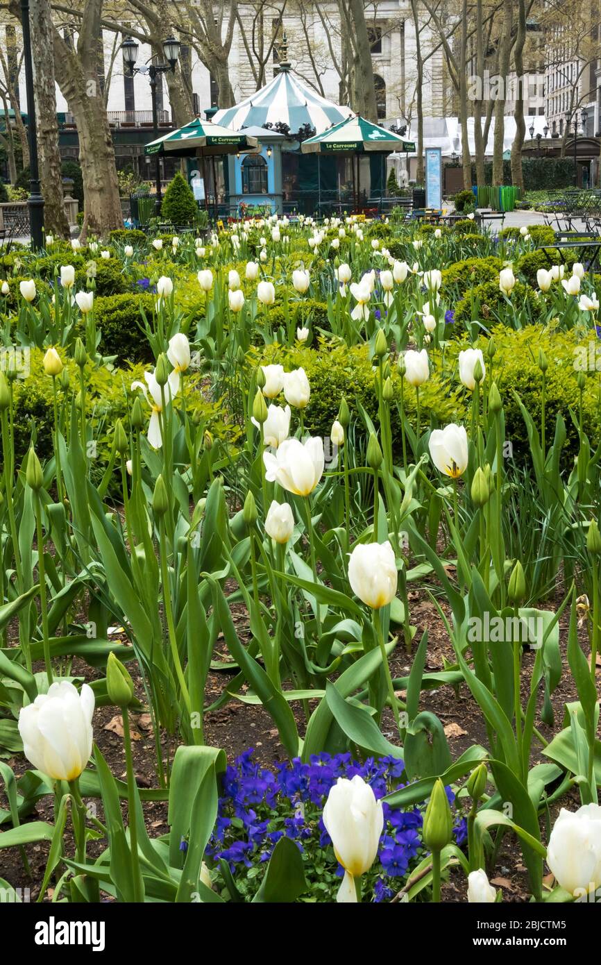 Park covid 19 hi-res stock photography and images - Alamy