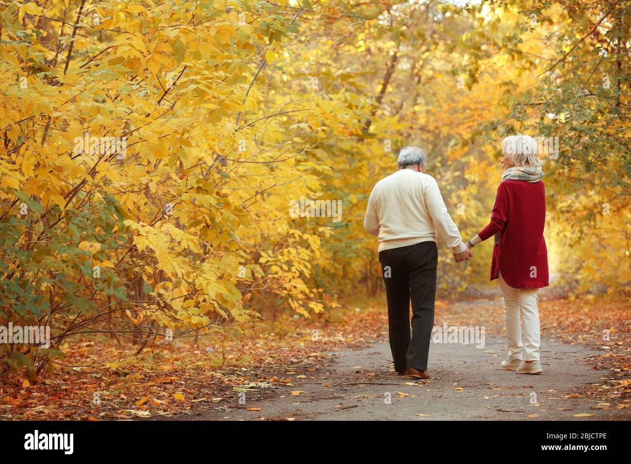 Lovely mature couple in autumn park Stock Photo - Alamy