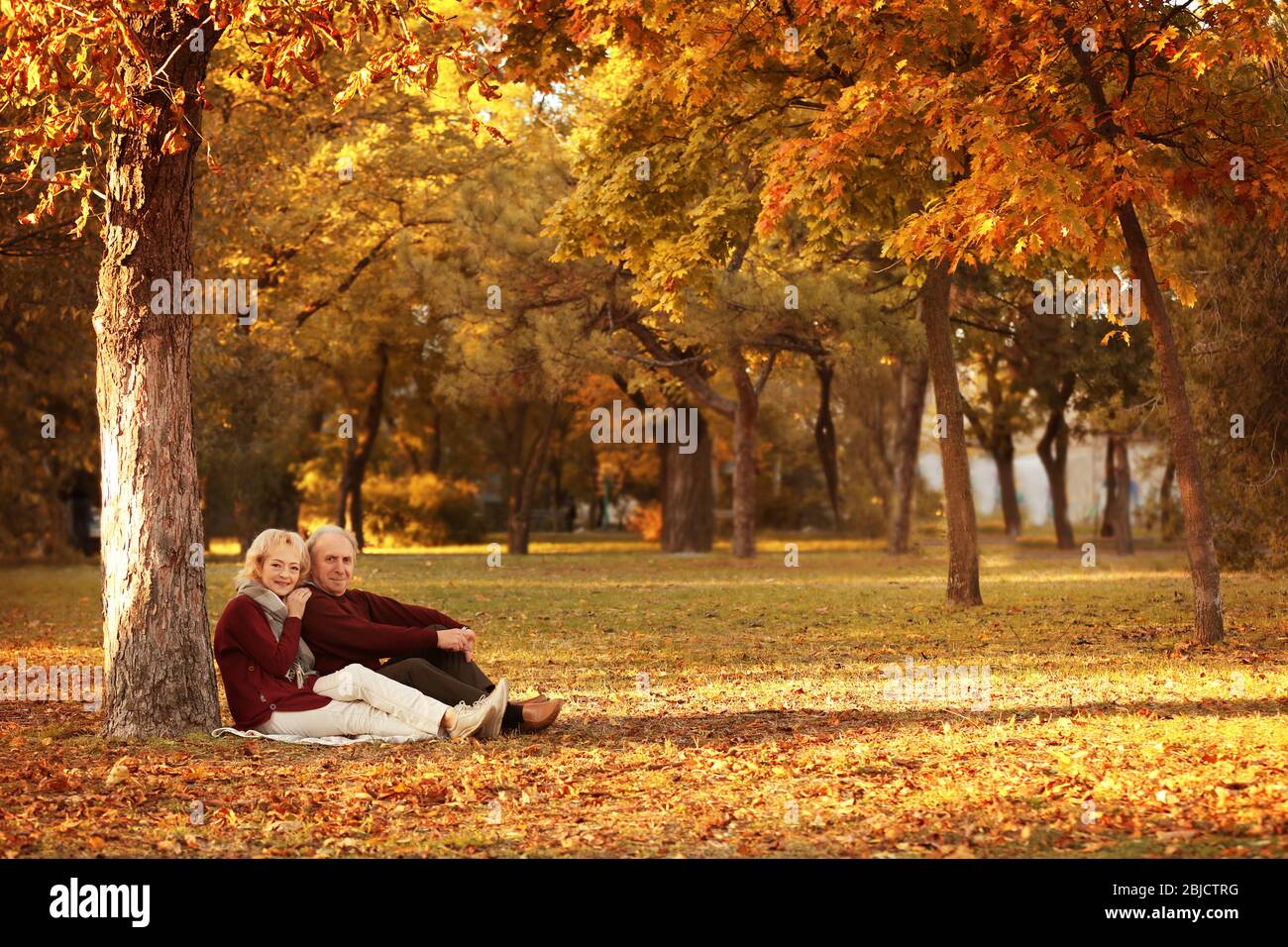 Couple sitting under tree hi-res stock photography and images - Alamy