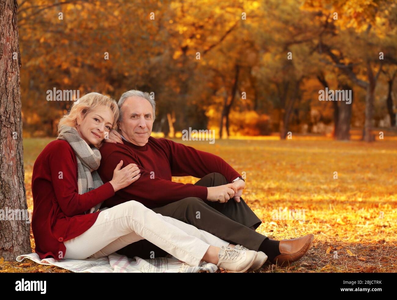 Couple sitting under tree hi-res stock photography and images - Alamy