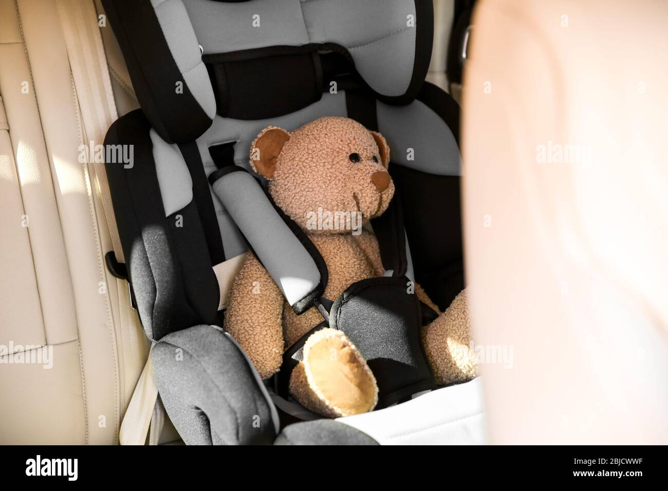 seat teddy bear