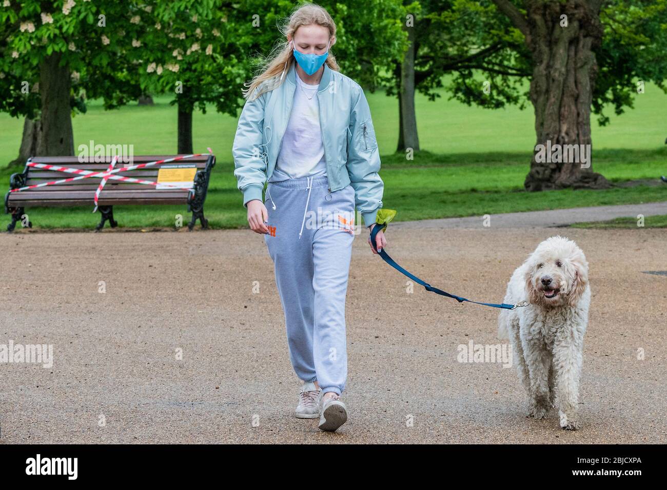 What Does Dog Walking Mean