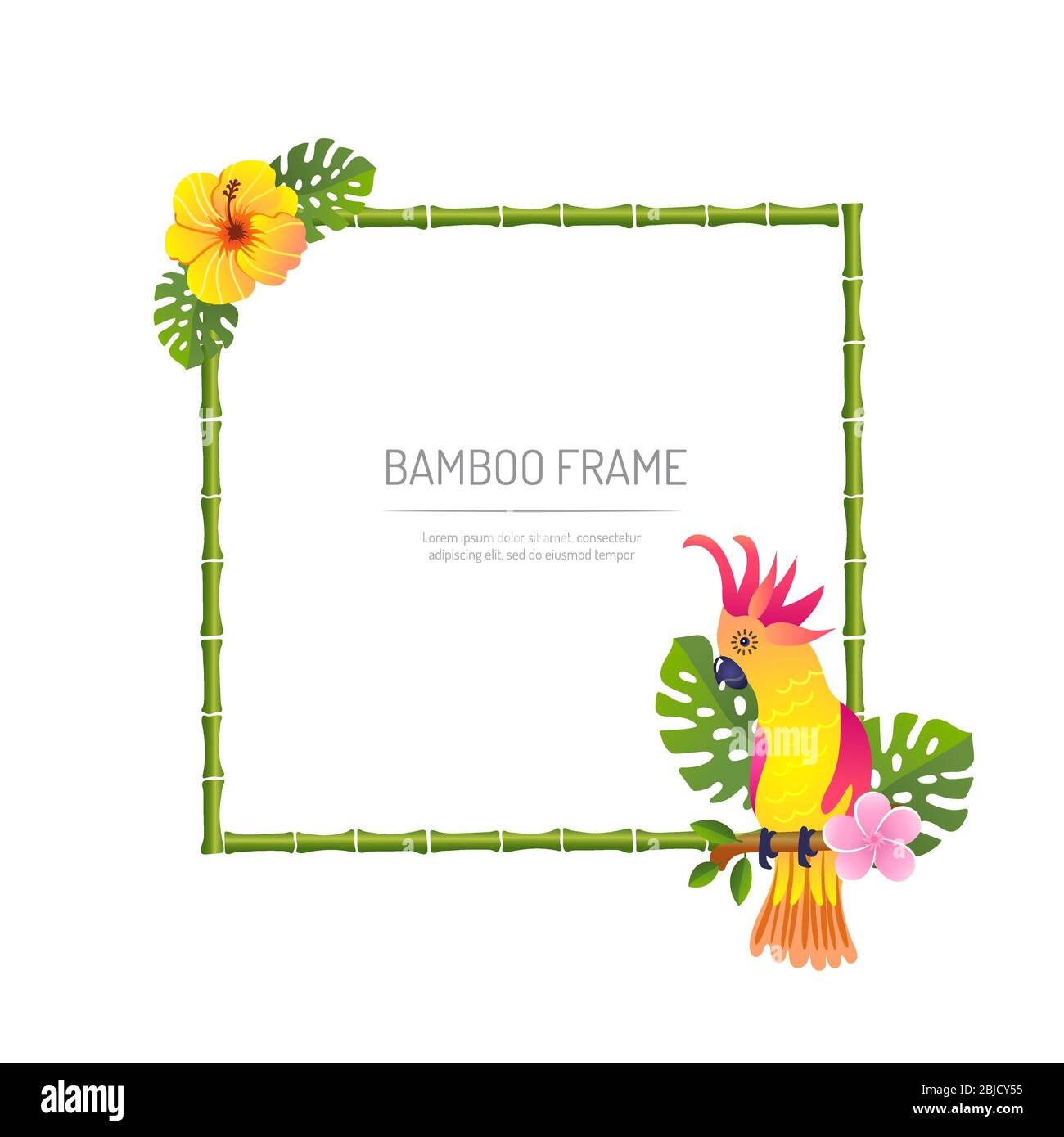bamboo frame with parrot on white background vector illustration Stock Vector