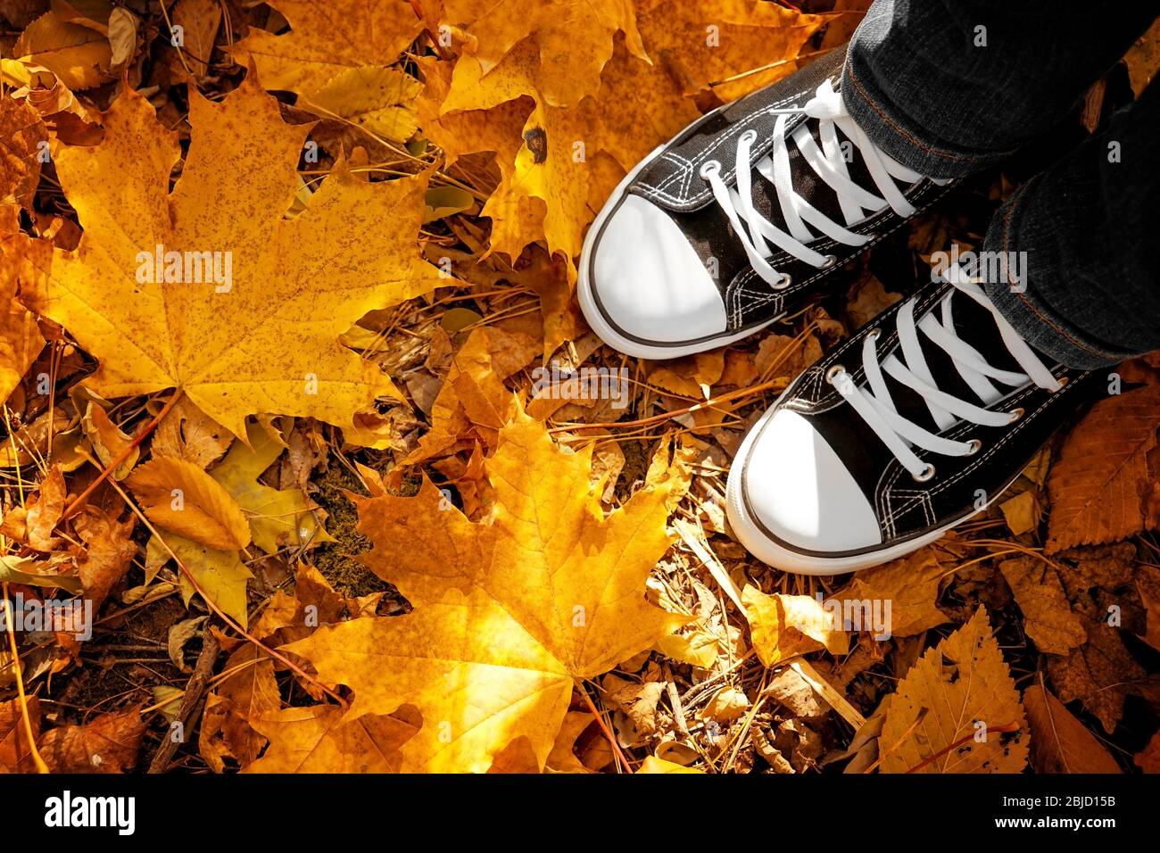 Human feet in sneakers on autumn leaves, close up view Stock Photo - Alamy