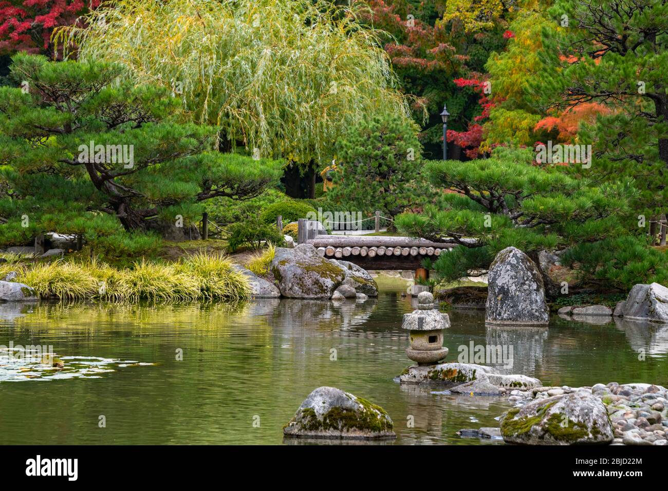 Japanese Garden with Wooden Foot Bridge, Pond, & Fall Foliage Stock Photo