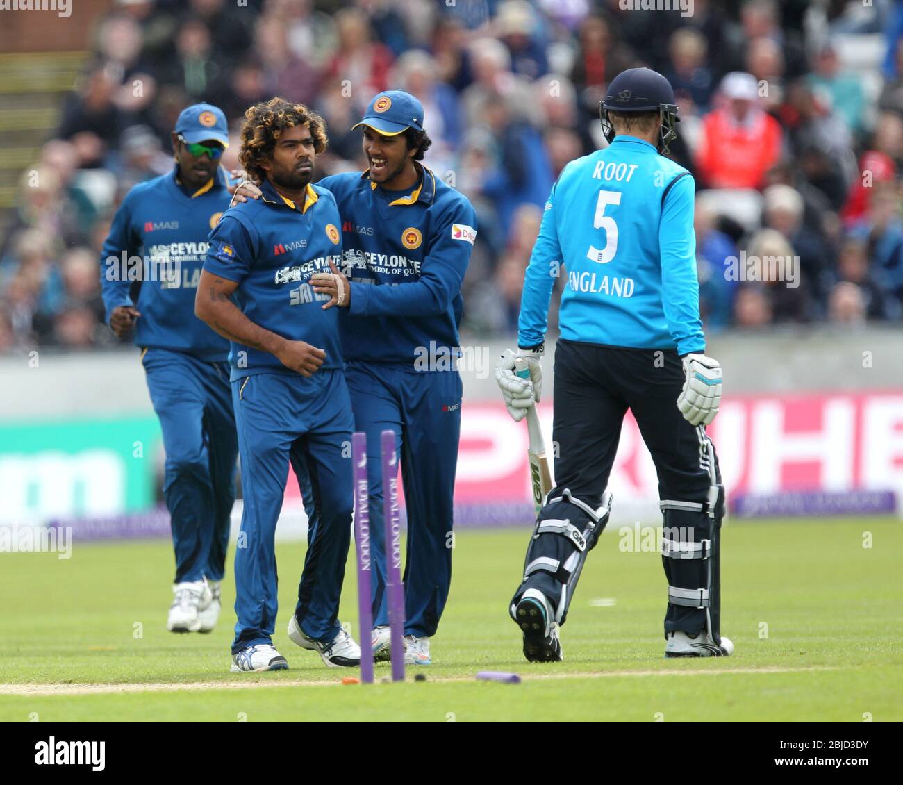CHESTER LE STREET, ENGLAND - Dinesh Chandimal of Sri Lanka congratulates team mate Lasith Malinga after he bowled England's Joe Root during the 2nd ODI between England and Sri Lanka at the Emirates Riverside, Chester le Street on Sunday 25h May 2014 (Credit: Mark Fletcher | MI News) Stock Photo