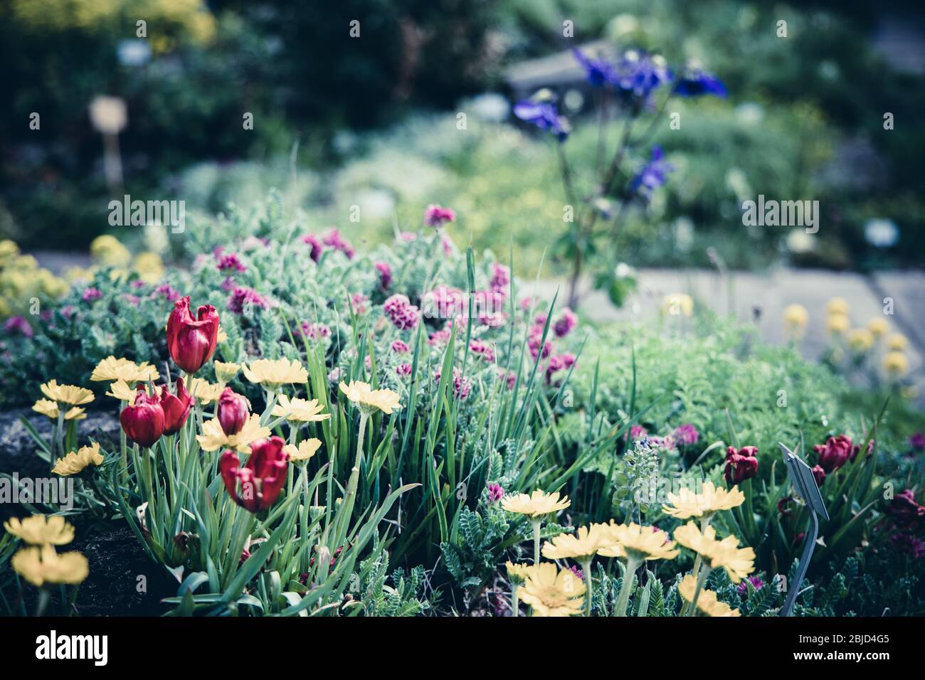 A walk in the park on an overcast day in spring Stock Photo - Alamy
