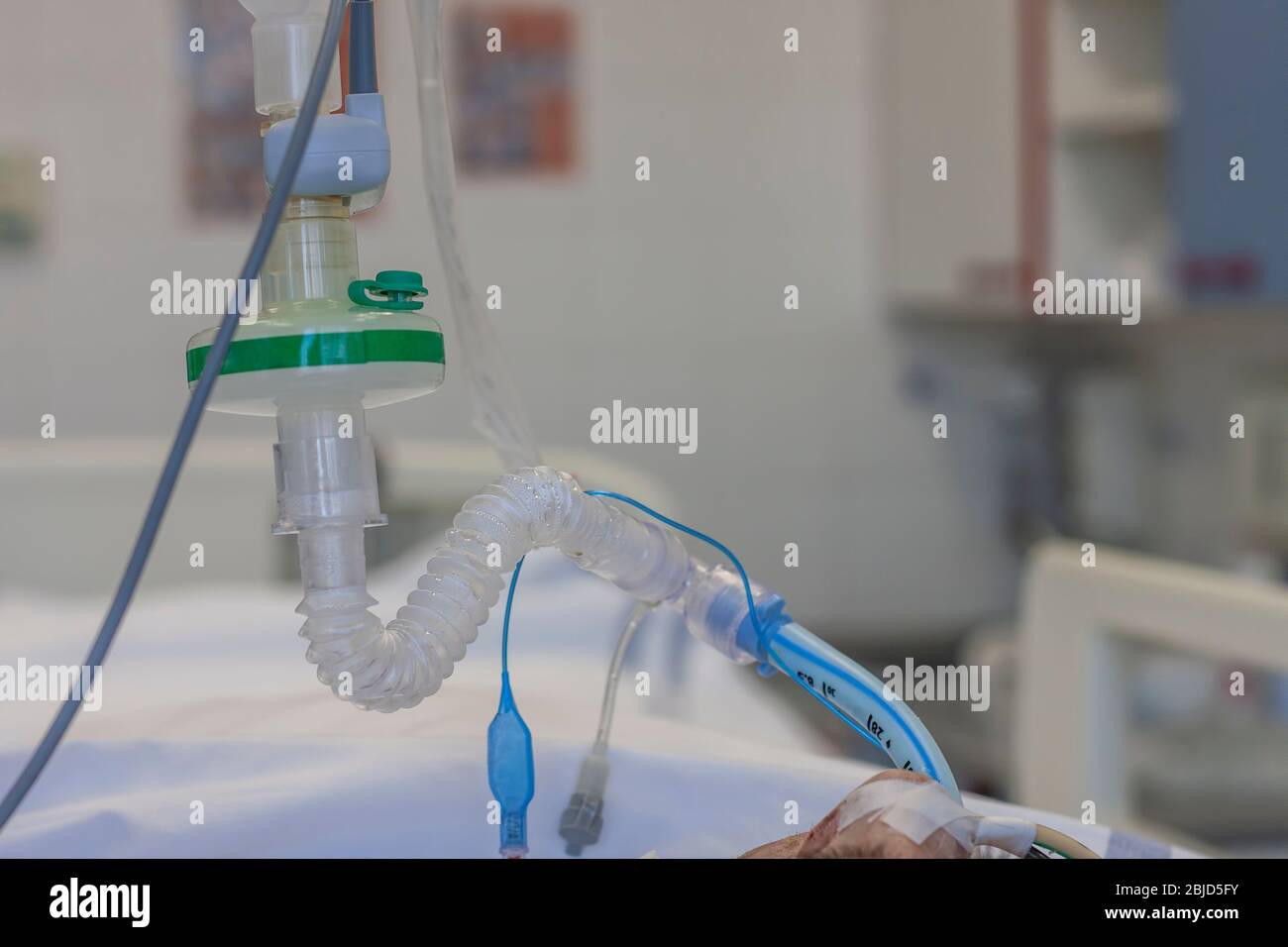 Endotracheal  tube, HME filter, carbon dioxide sensor,  patient connected to medical ventilator in ICU in hospital. Stock Photo