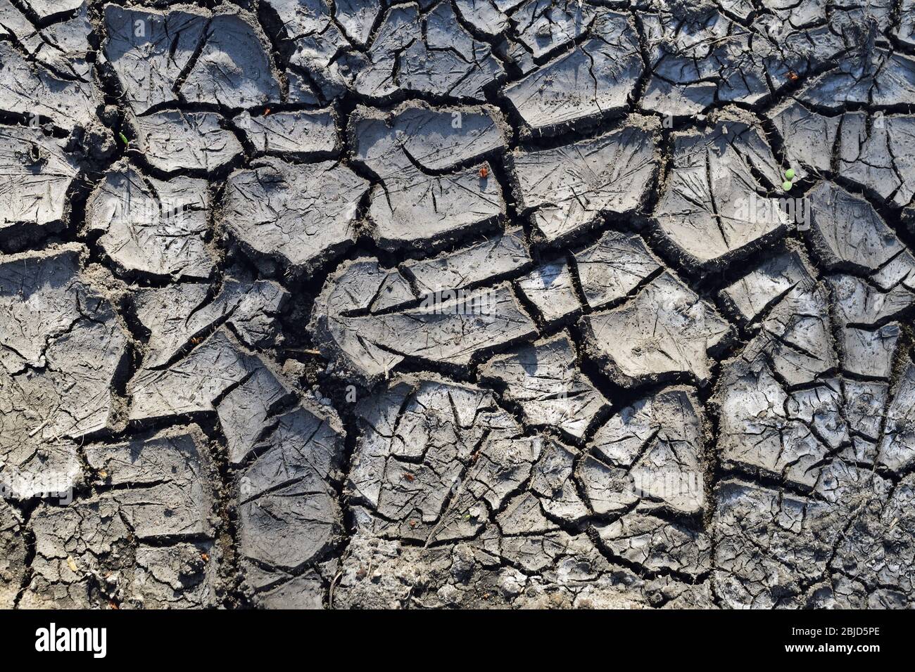 Cracked soil after long drought Stock Photo