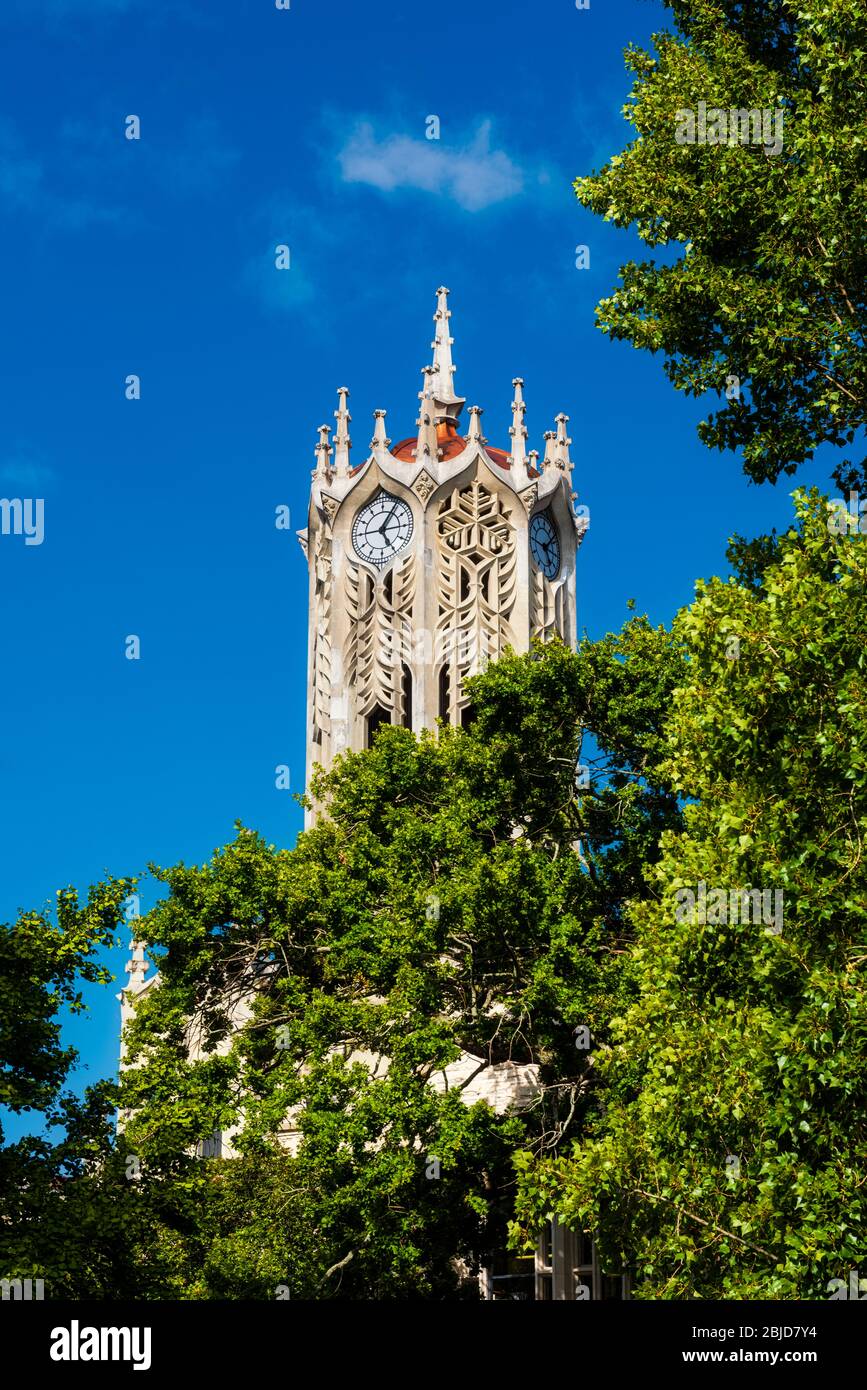University of Auckland Clock Tower next to Albert Park in Auckland in New Zealand Stock Photo