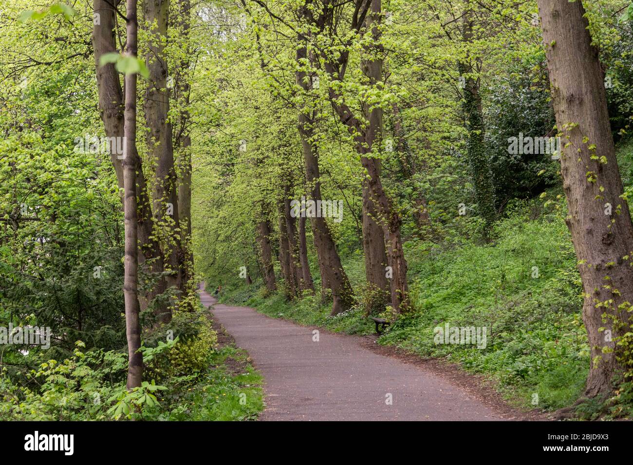 New durham hires stock photography and images Alamy