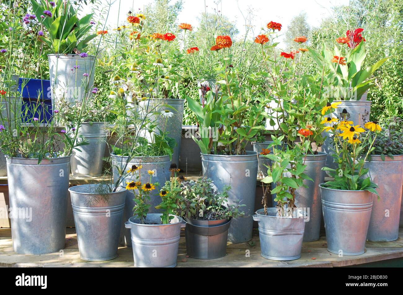 Pots with summer flowers Stock Photo Alamy
