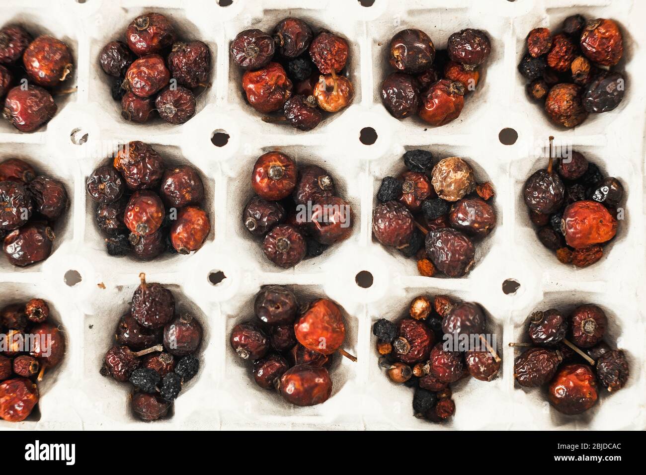 Dried rosehip berries. Used for design, websites, interior, background