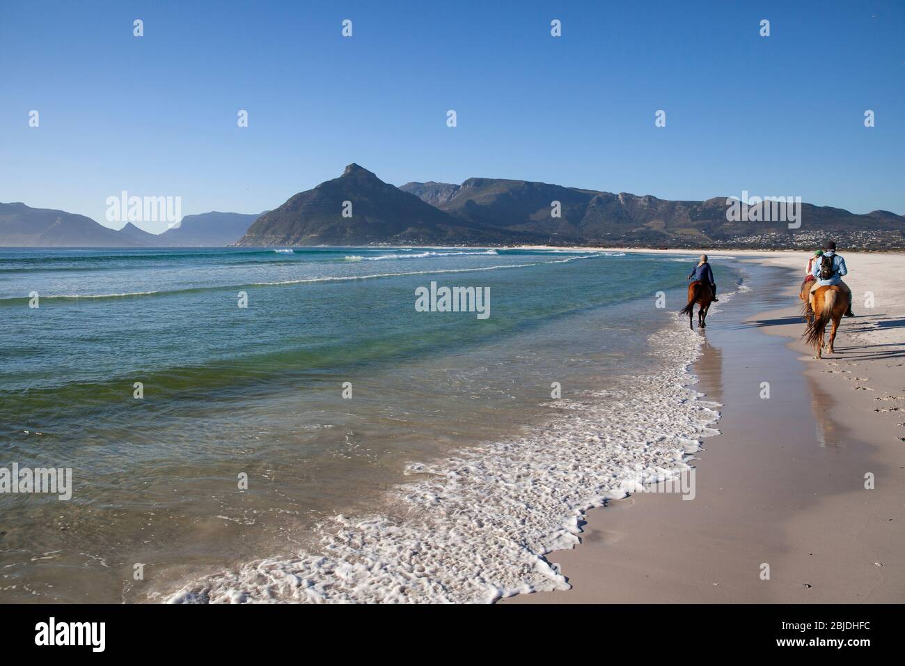 Horse riding on long beach, Cape Town, South Africa Stock Photo Alamy