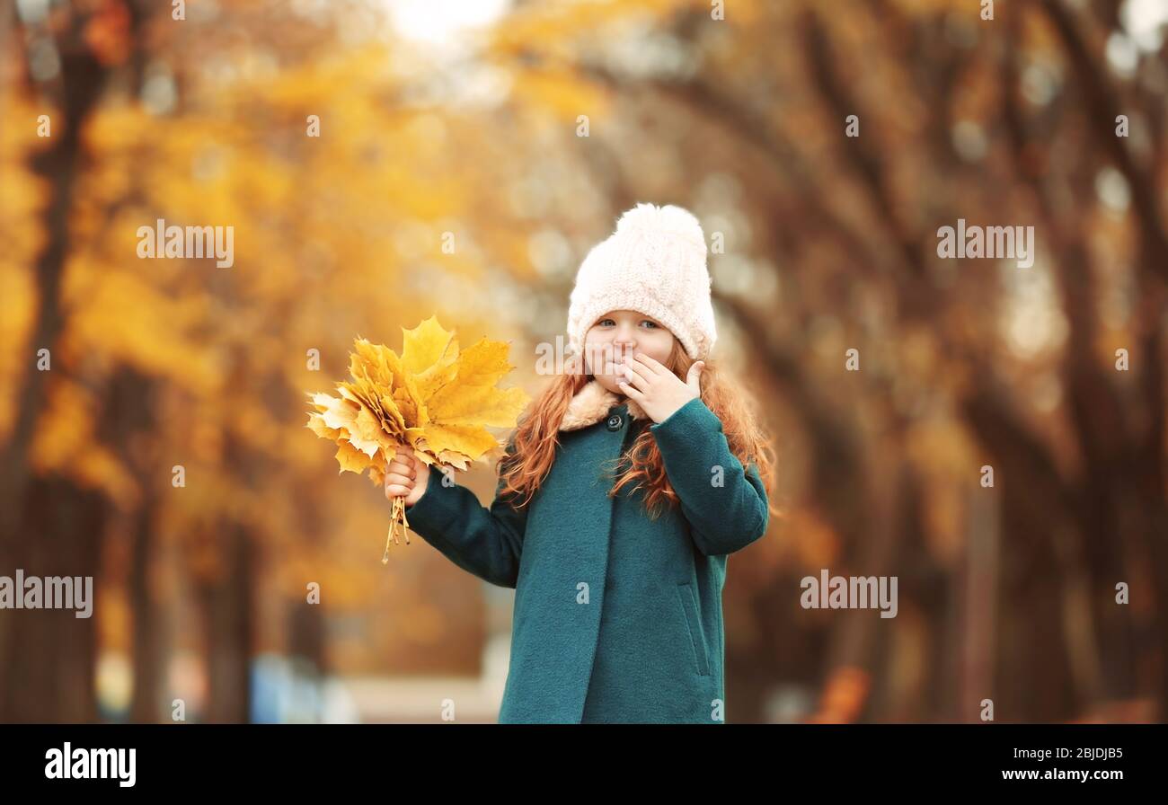 Cute little girl with bouquet of yellow leaves in autumn park Stock ...