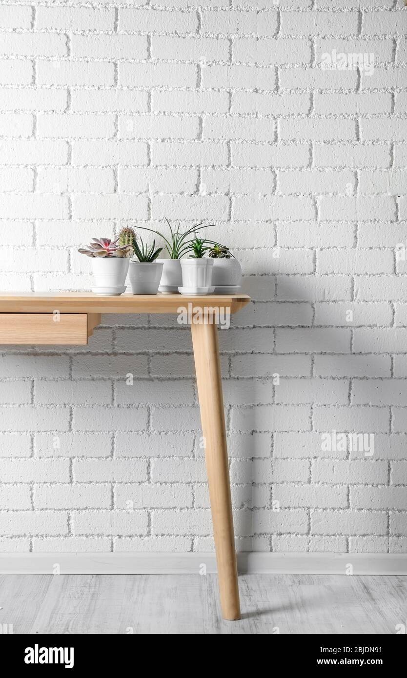 Succulents and cactus on wooden table on white brick wall background Stock Photo
