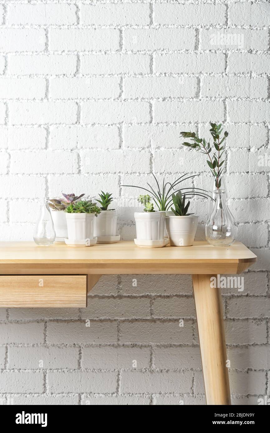 Succulents on wooden table on white brick wall background Stock Photo
