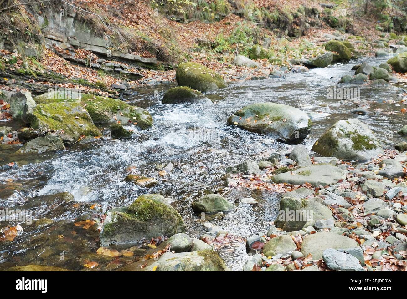 Mountain Rocks Strream Mountain stream with rocks in forest Stock Photo - Alamy