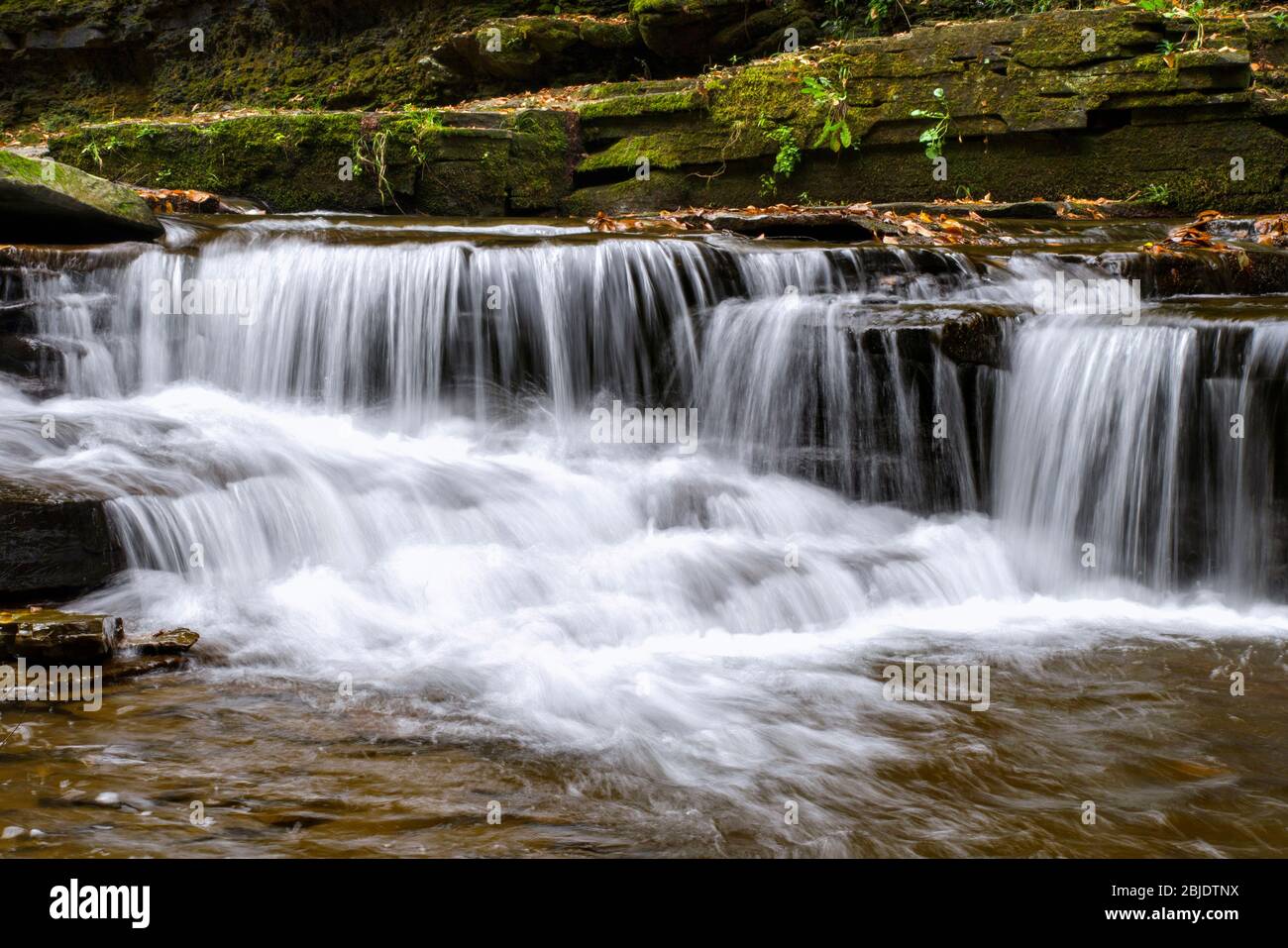 Waterfall Salt Springs State Park Pennsylvania Stock Photo