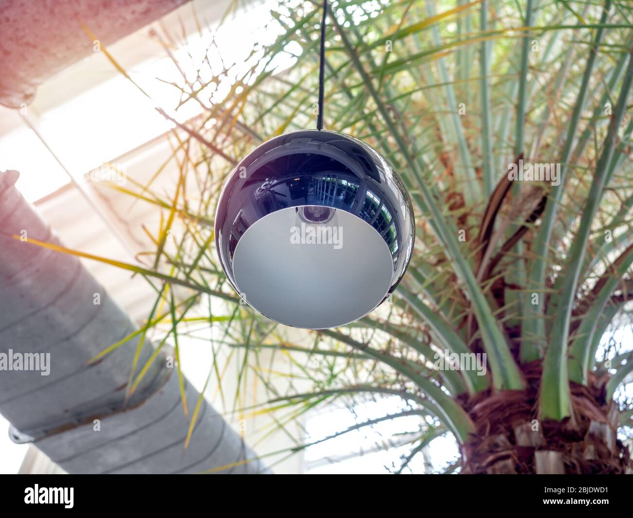 Palm Tree Tropical Ceiling Fan Pulls | Kyle Switch Plates