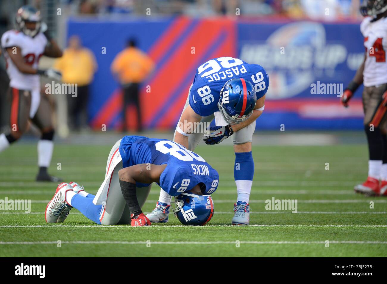 16 September 2012: New York Giants tight end Bear Pascoe (86) helps out down teammate New York Giants wide receiver Hakeem Nicks (88) during a week 2 Stock Photo