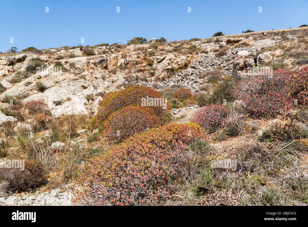 Coast region near Mnajdra temples showing terrain, Qrendi, Malta Stock Photo