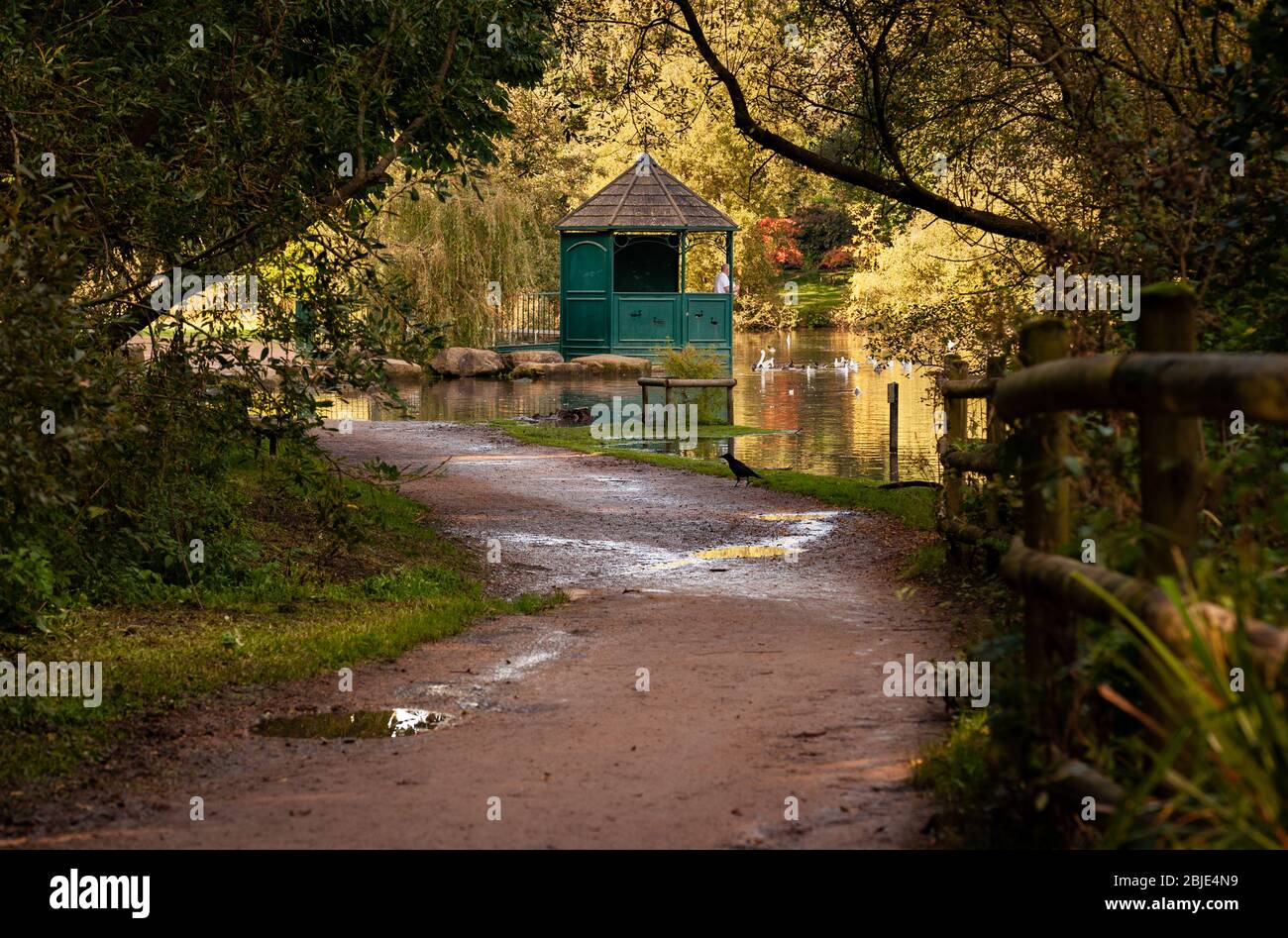 Golden acre park hi-res stock photography and images - Alamy